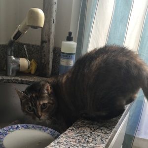 Meet your Posher, Ann